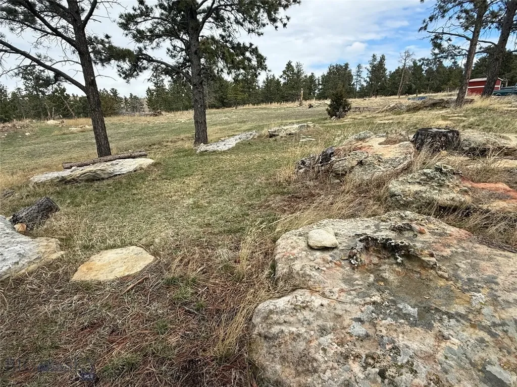 39 Pine Needle Shawmut MT 59078