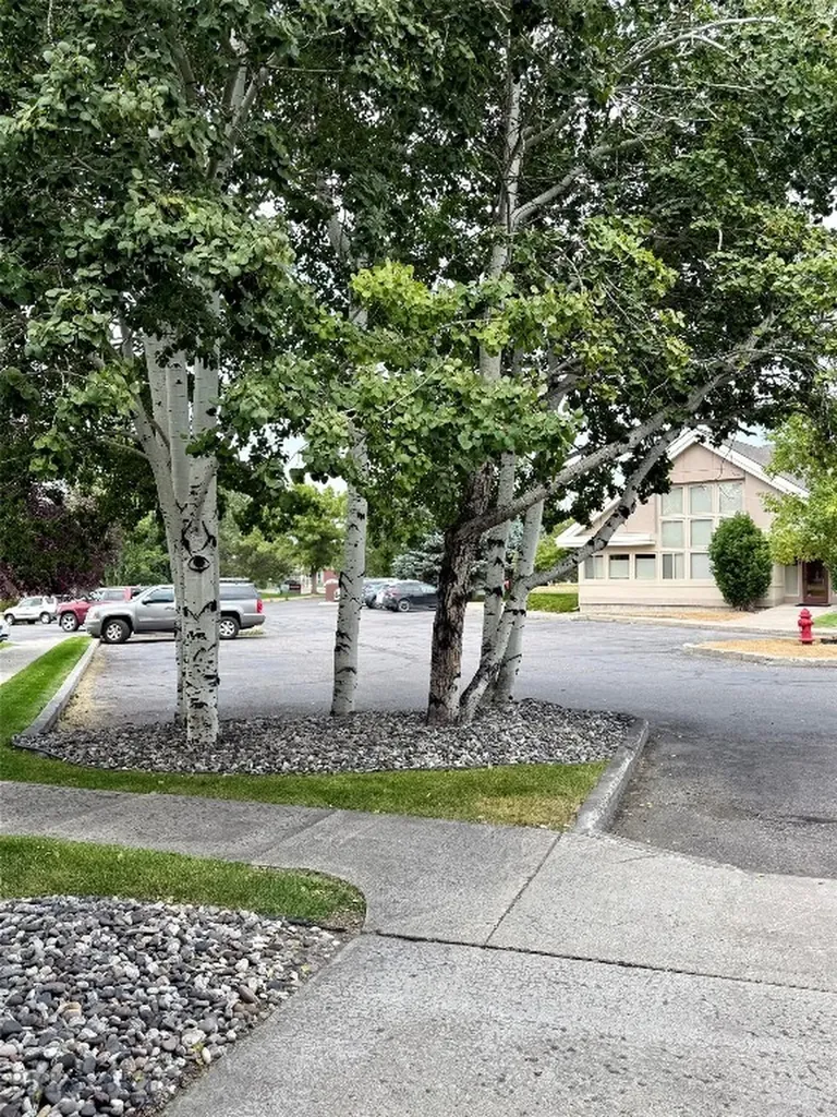 945 Technology Boulevard Bozeman MT 59718