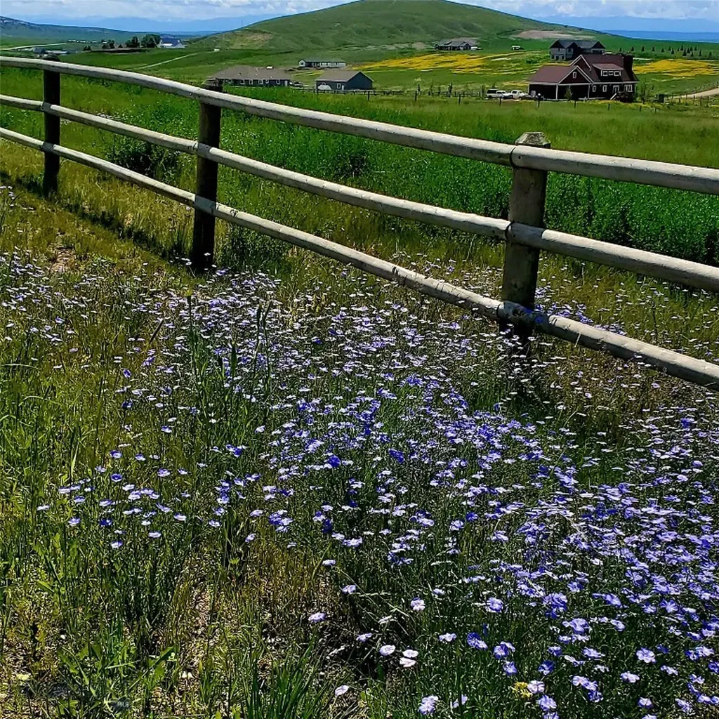 109 Wild Rose Loop Three Forks MT 59752