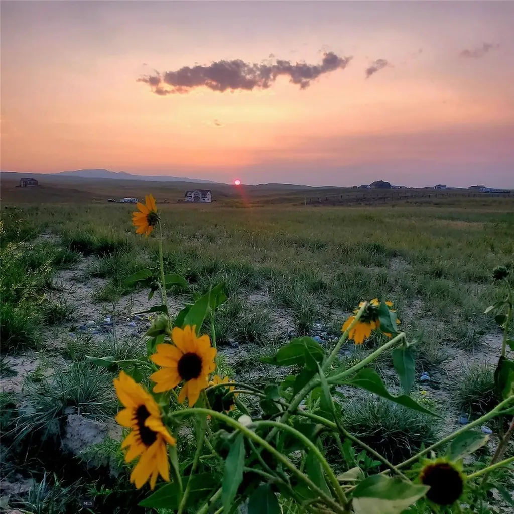 109 Wild Rose Loop Three Forks MT 59752