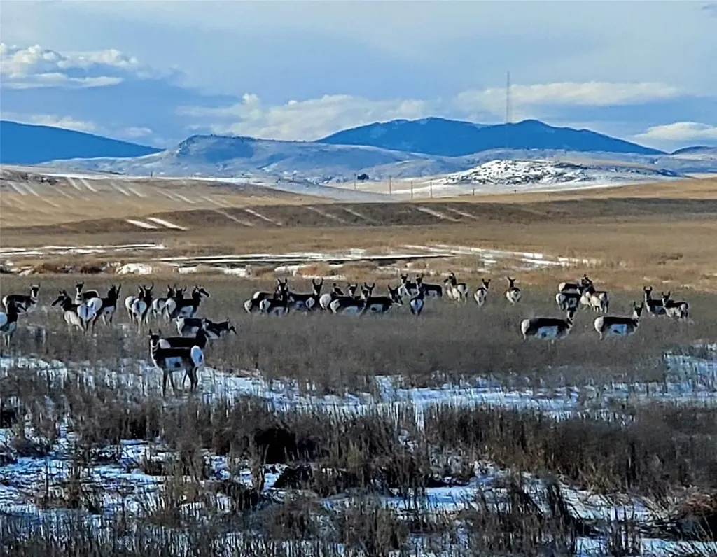 109 Wild Rose Loop Three Forks MT 59752