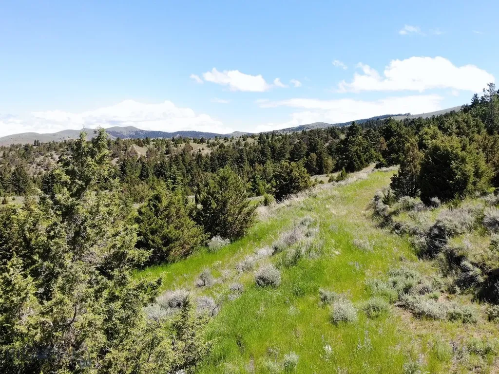 Nhn (Lot 59) Skyline Road Three Forks MT 59752