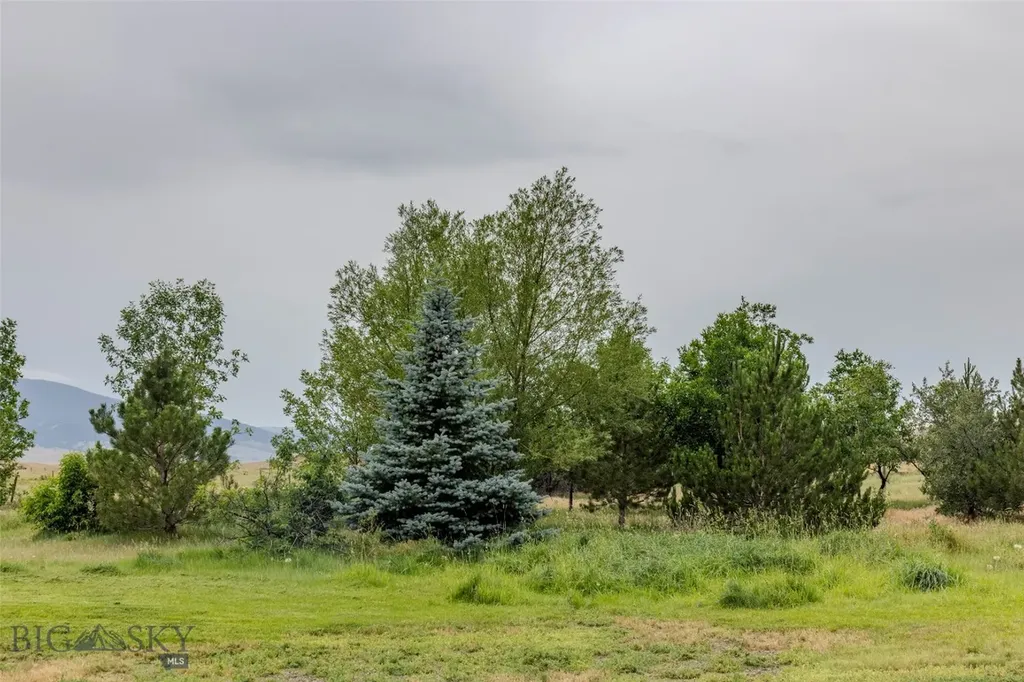72 Basin Trail Livingston MT 59047