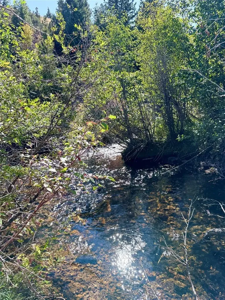 7535 Birch Creek Road Dillon MT 59732