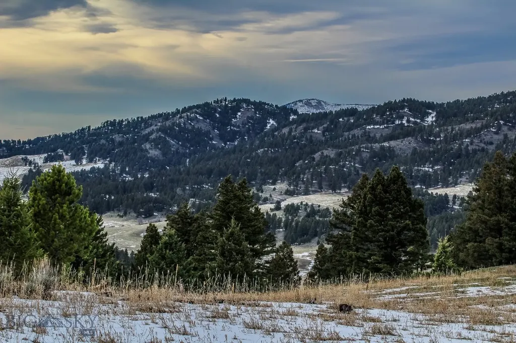 Bozeman MT 59715