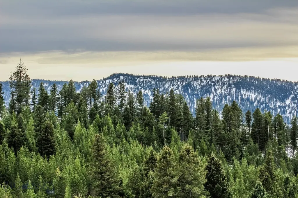 Bozeman MT 59715