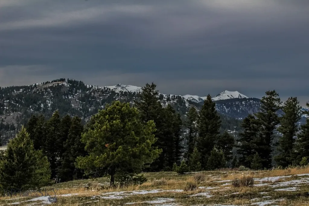 Bozeman MT 59715