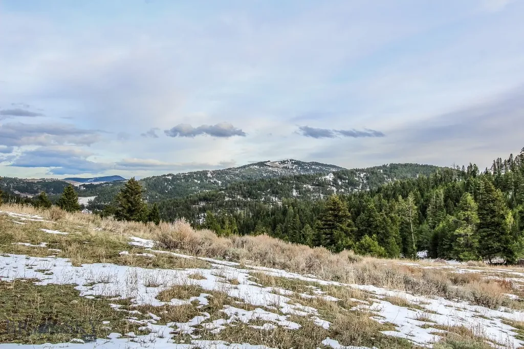 Bozeman MT 59715