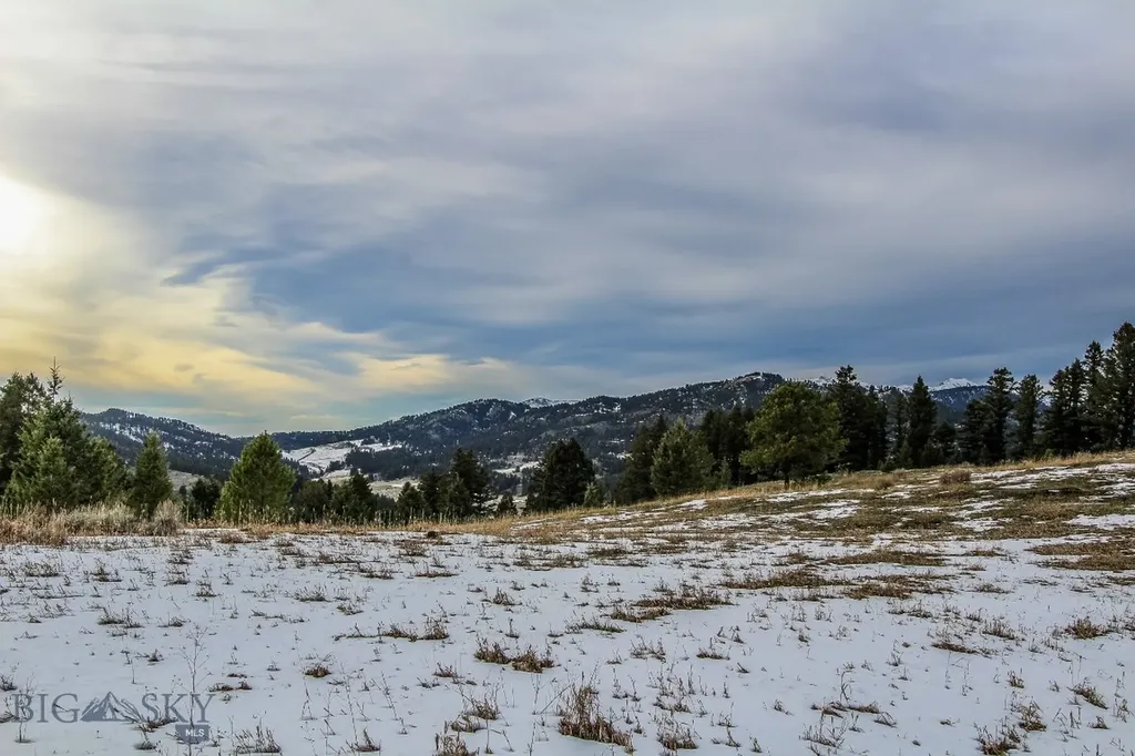 Bozeman MT 59715