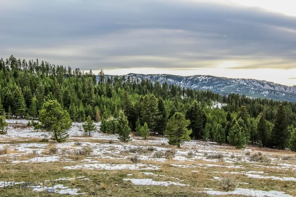 Bozeman MT 59715
