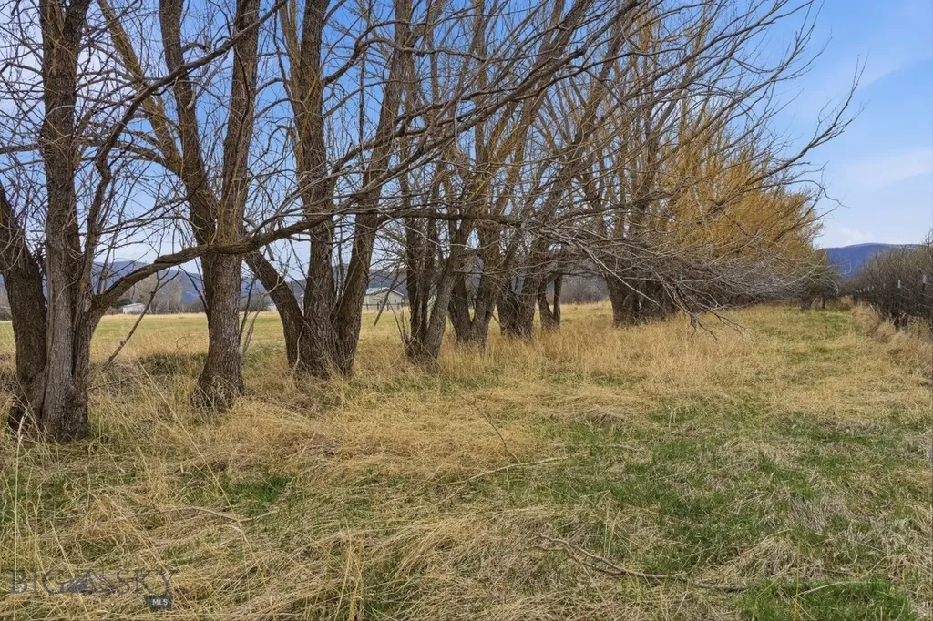 6133 Bigelow Road Bozeman MT 59718