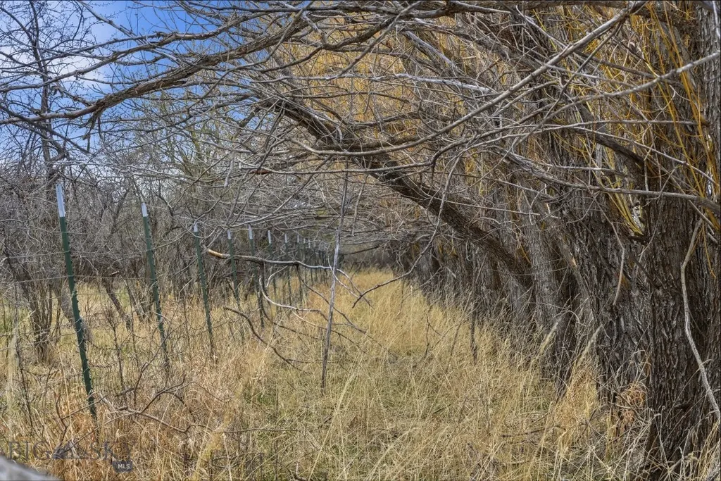 6133 Bigelow Road Bozeman MT 59718