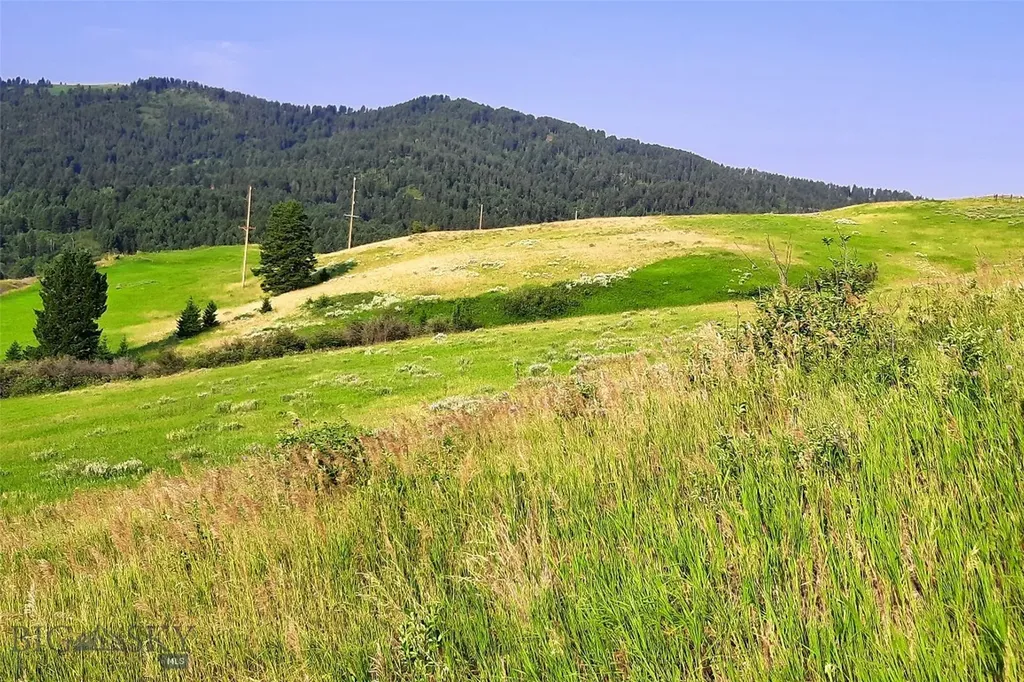 Tbd Lupine Lane Livingston MT 59047