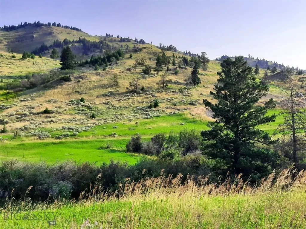 Tbd Lupine Lane Livingston MT 59047