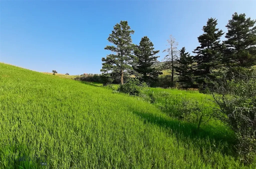 Tbd Lupine Lane Livingston MT 59047