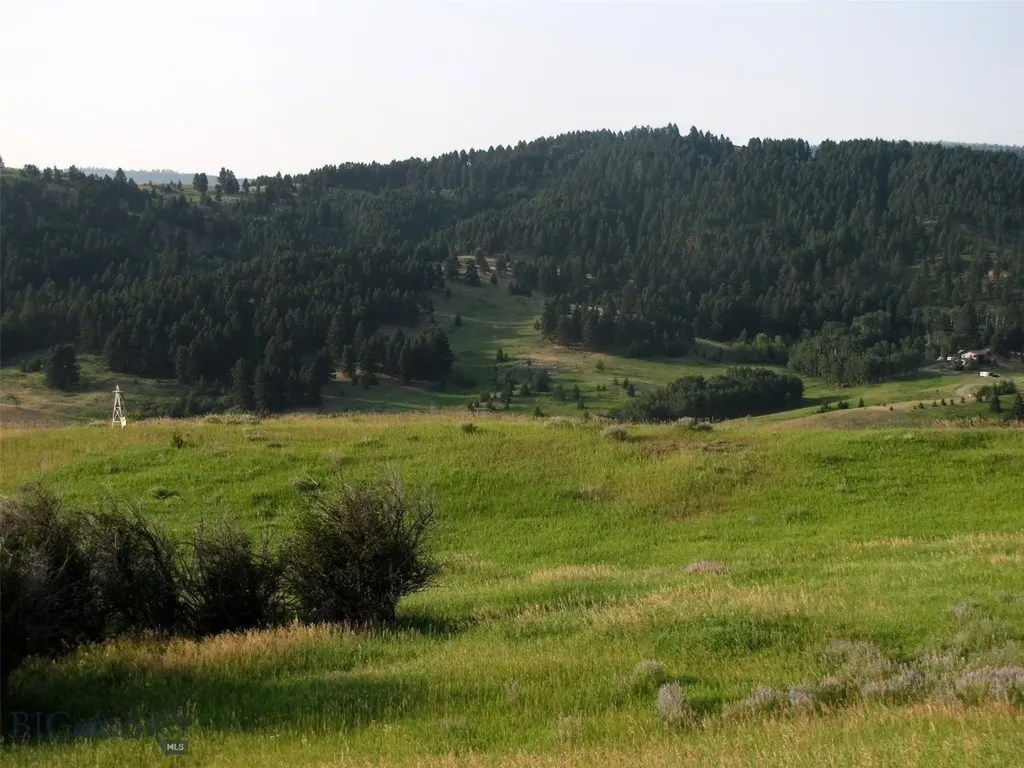 Tbd Lupine Lane Livingston MT 59047