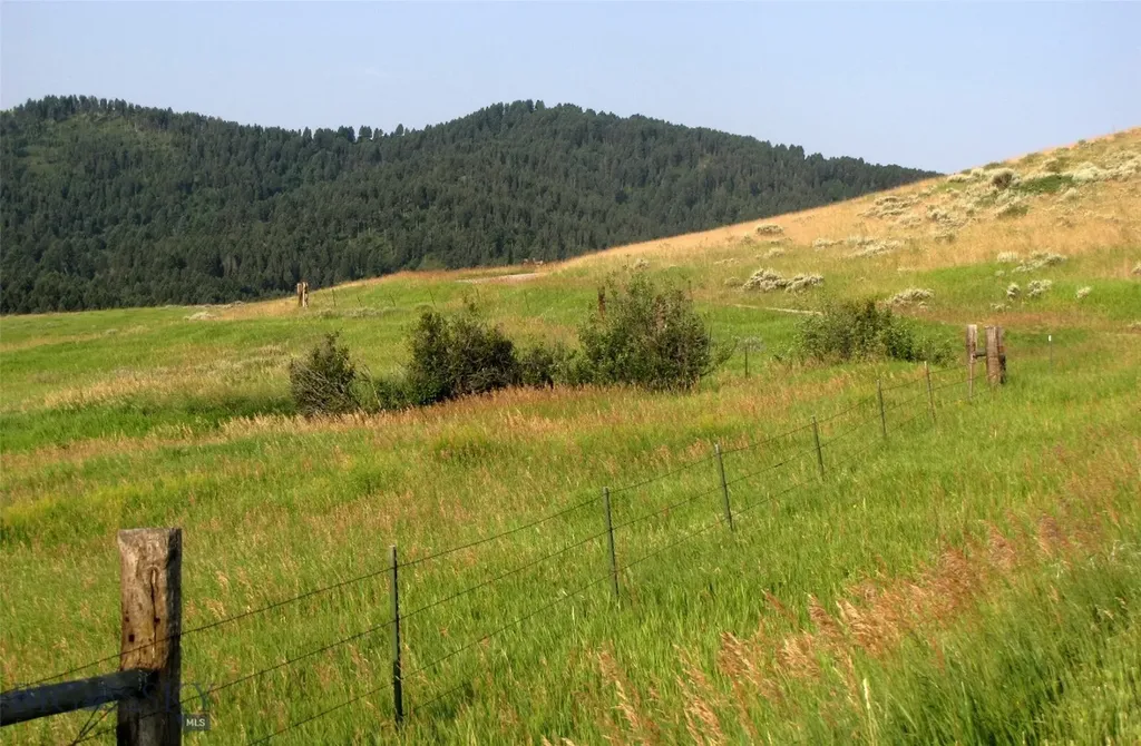 Tbd Lupine Lane Livingston MT 59047