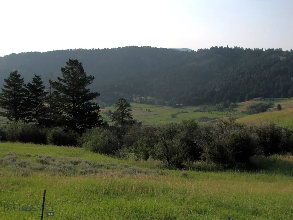 Tbd Lupine Lane Livingston MT 59047