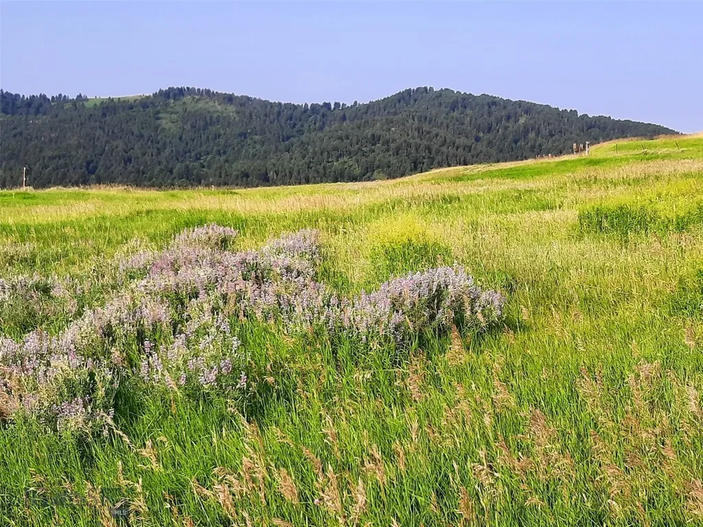 Tbd Lupine Lane Livingston MT 59047