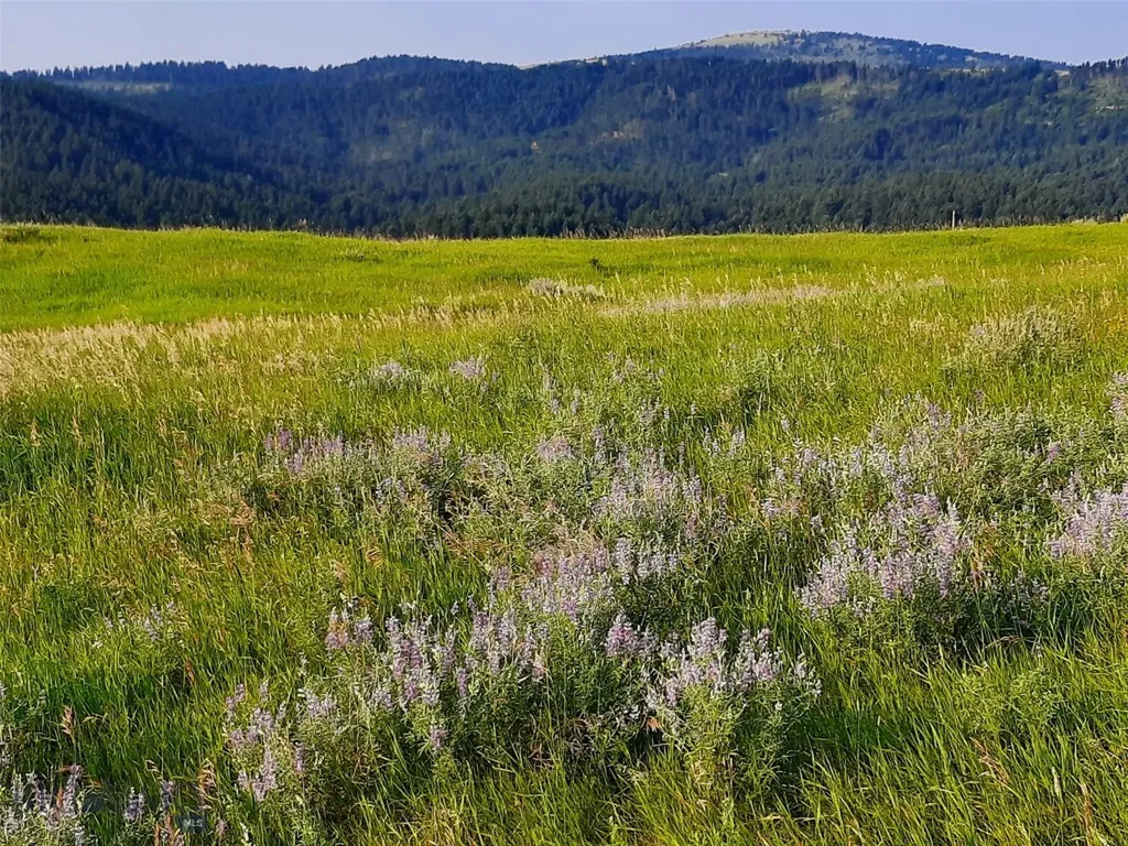 Tbd Lupine Lane Livingston MT 59047