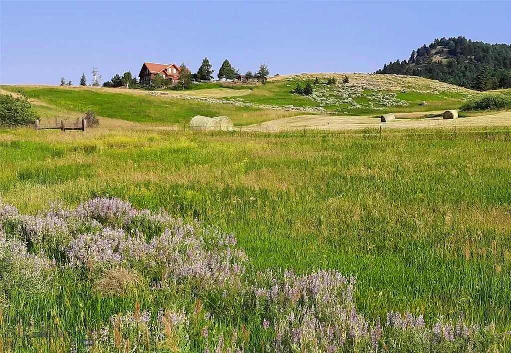 Tbd Lupine Lane Livingston MT 59047