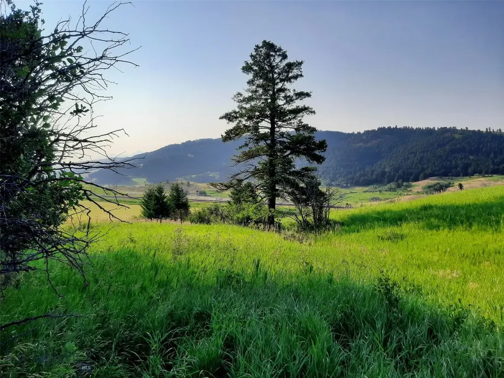 Tbd Lupine Lane Livingston MT 59047