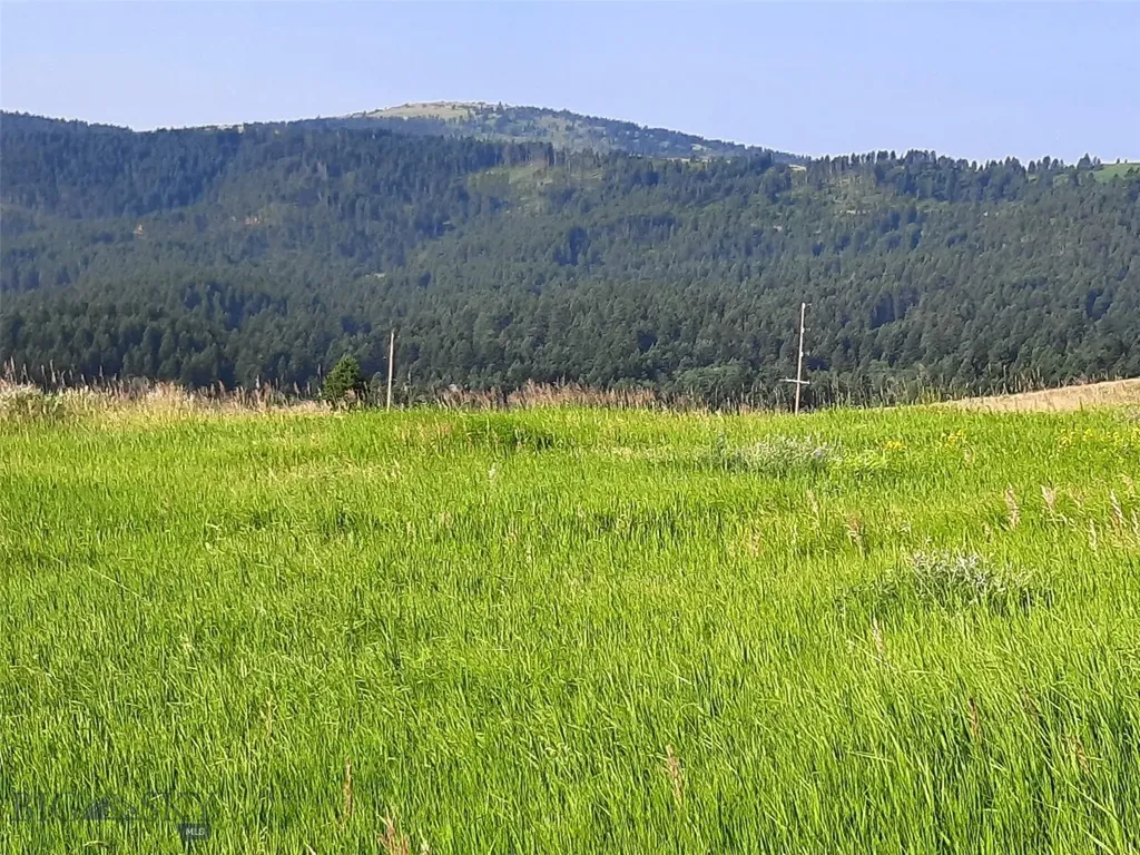 Tbd Lupine Lane Livingston MT 59047