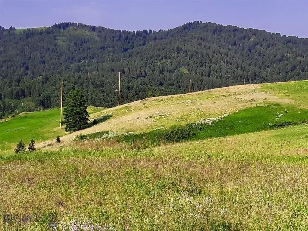 Tbd Lupine Lane Livingston MT 59047