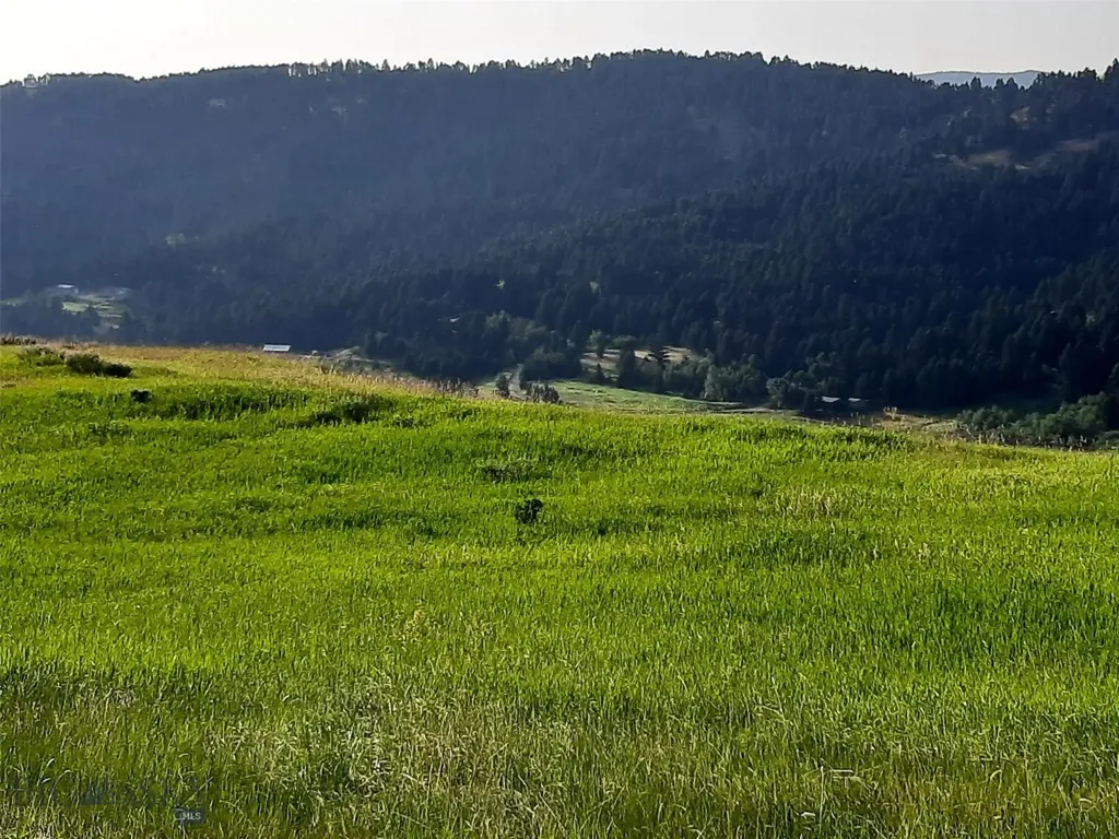 Tbd Lupine Lane Livingston MT 59047