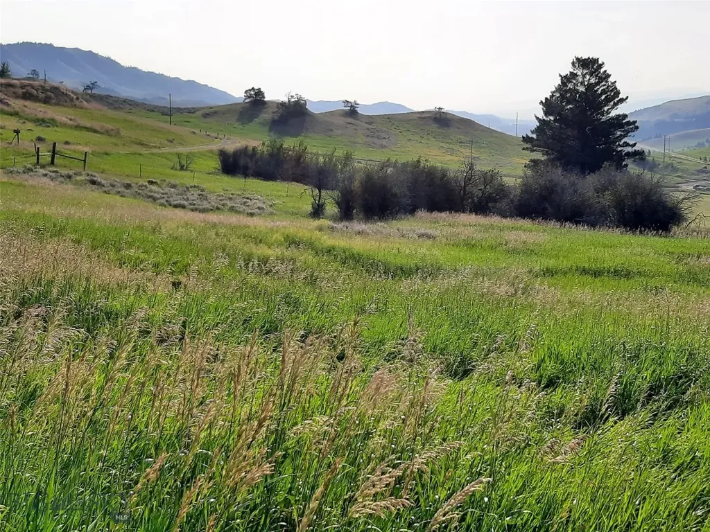 Tbd Lupine Lane Livingston MT 59047