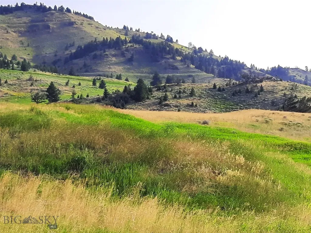Tbd Lupine Lane Livingston MT 59047