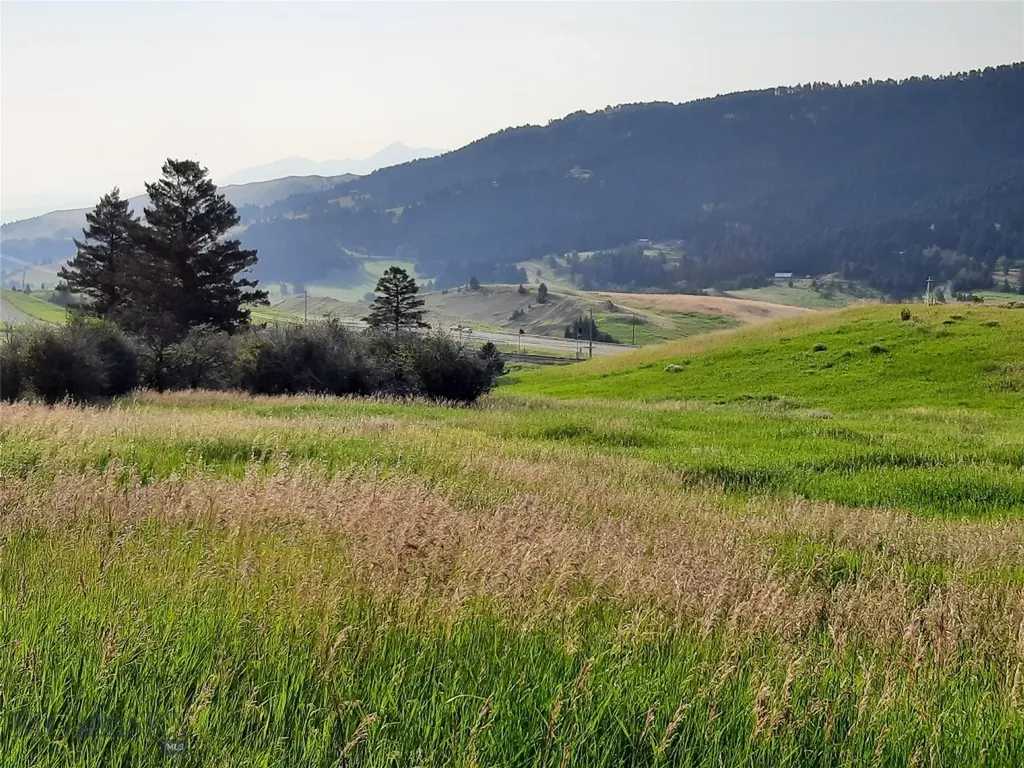 Tbd Lupine Lane Livingston MT 59047