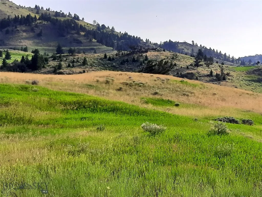 Tbd Lupine Lane Livingston MT 59047