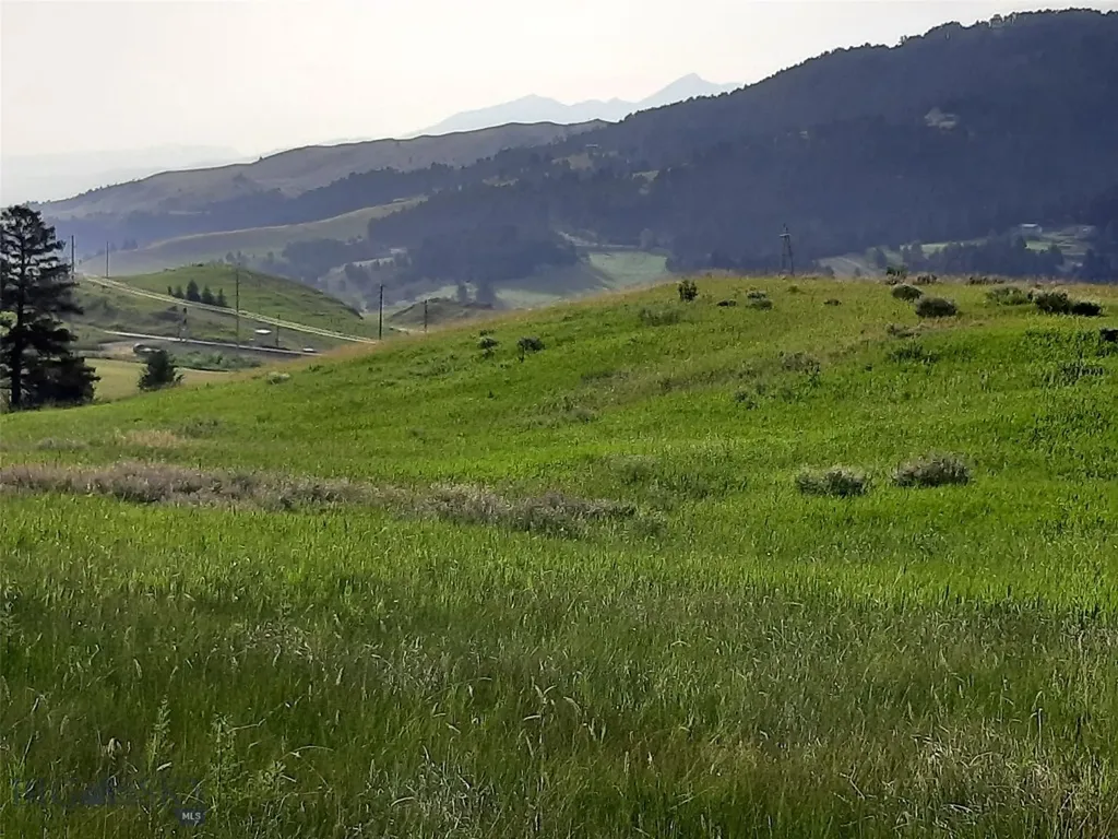 Tbd Lupine Lane Livingston MT 59047