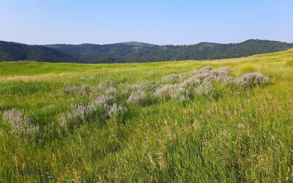 Tbd Lupine Lane Livingston MT 59047