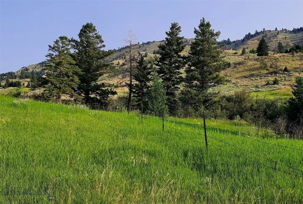 Tbd Lupine Lane Livingston MT 59047