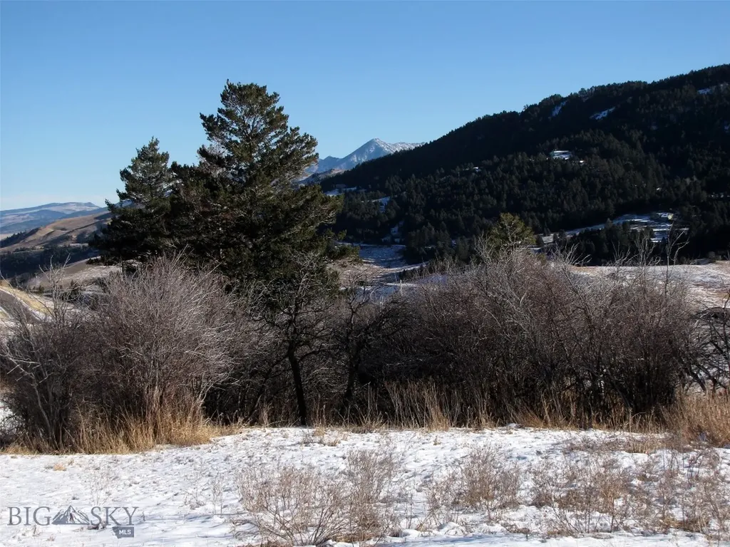 Tbd Lupine Lane Livingston MT 59047