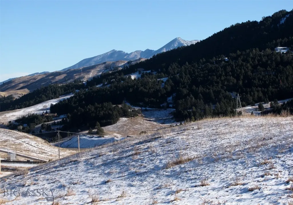 Tbd Lupine Lane Livingston MT 59047