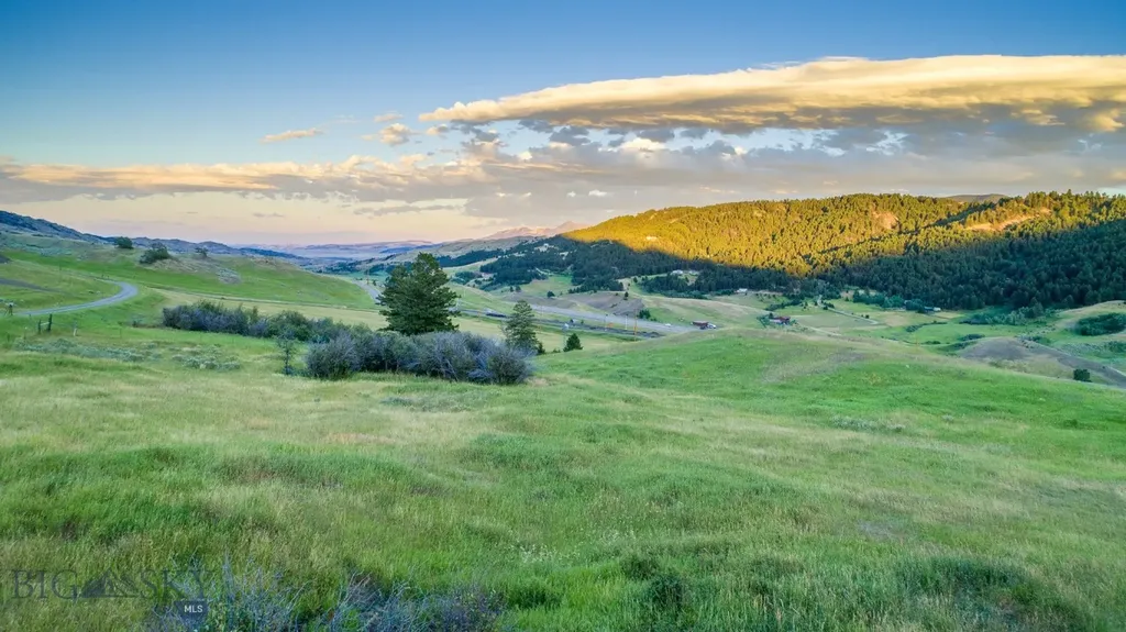 Tbd Lupine Lane Livingston MT 59047