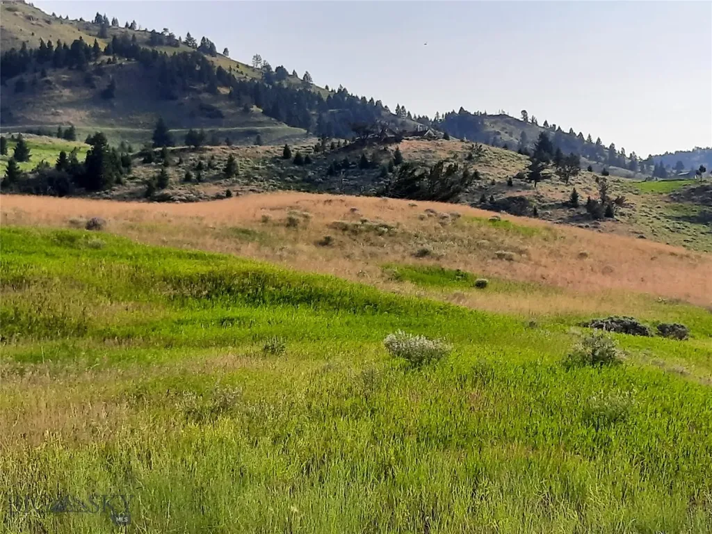 Tbd Lupine Lane Livingston MT 59047