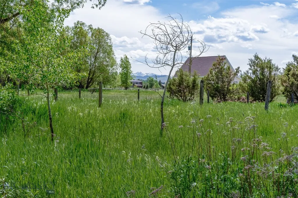 Tbd Golden Buffalo Road Bozeman MT 59715