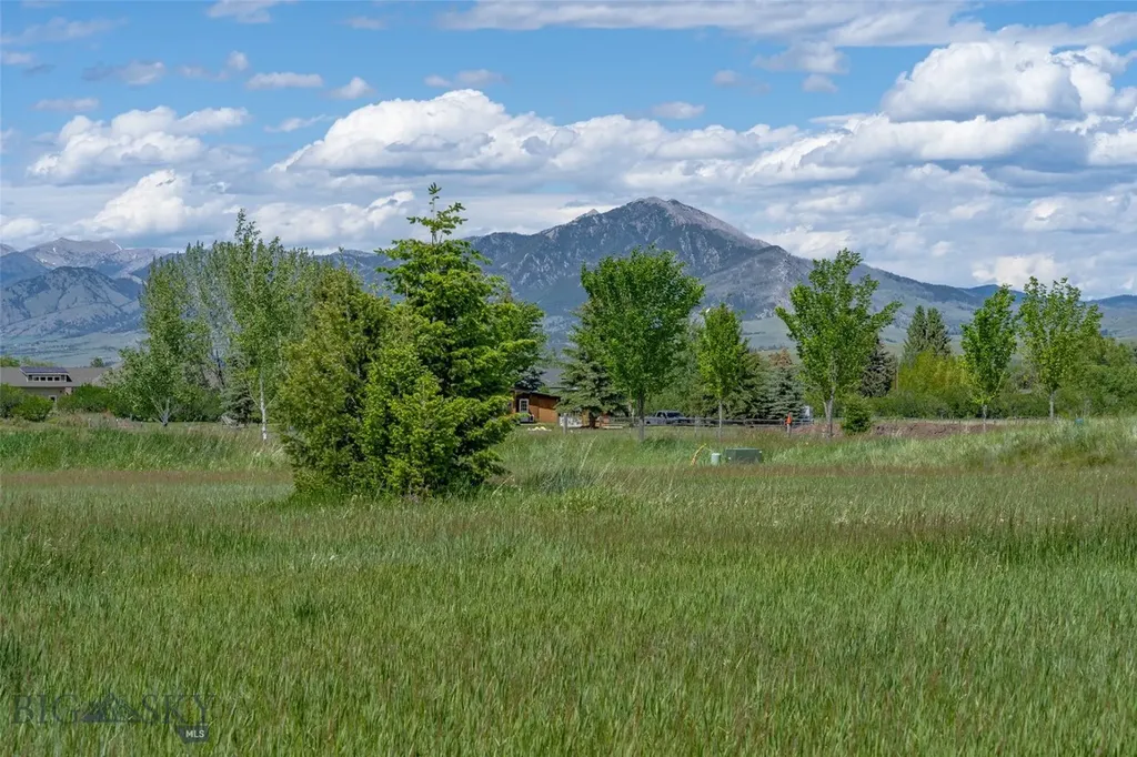 Tbd Golden Buffalo Road Bozeman MT 59715