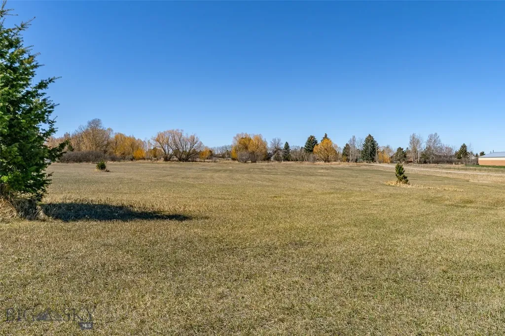 Tbd Golden Buffalo Road Bozeman MT 59715