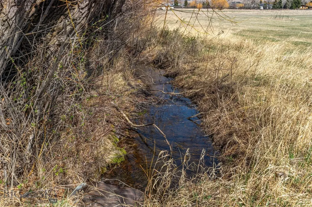 Tbd Golden Buffalo Road Bozeman MT 59715
