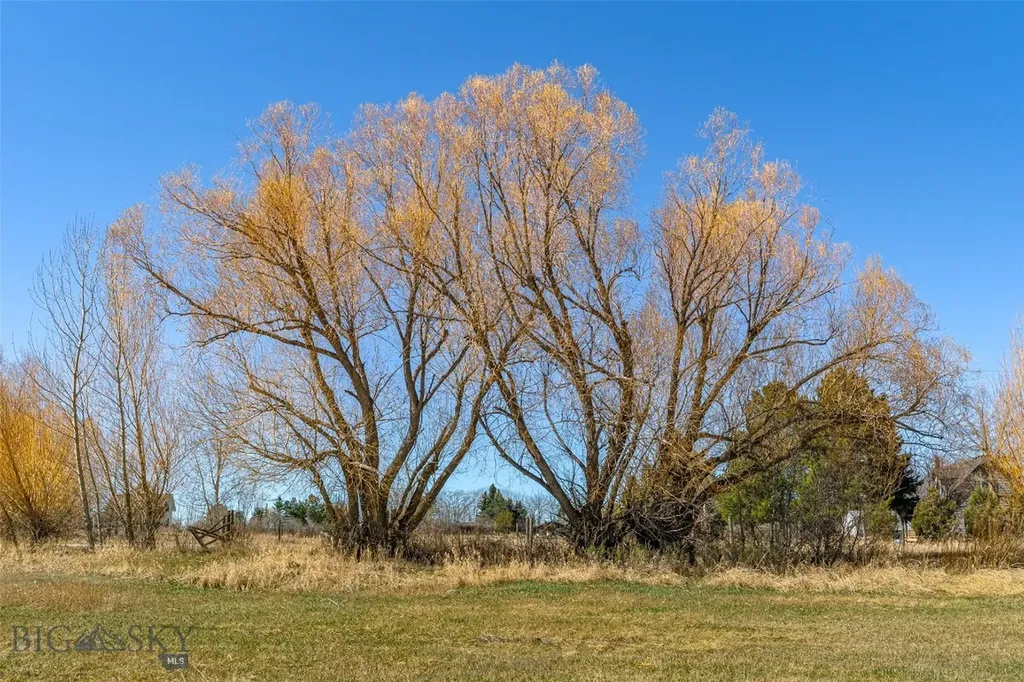 Tbd Golden Buffalo Road Bozeman MT 59715