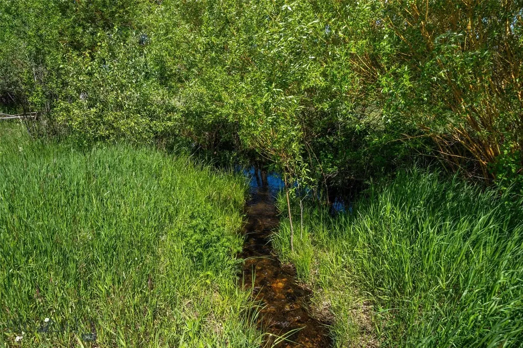 Tbd Golden Buffalo Road Bozeman MT 59715