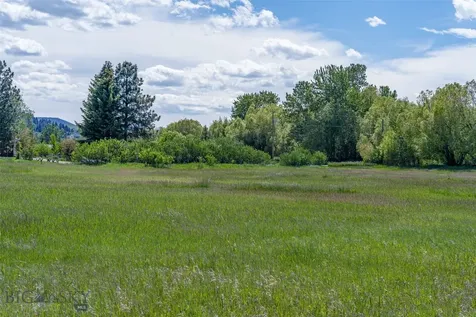 Tbd Golden Buffalo Road Bozeman MT 59715