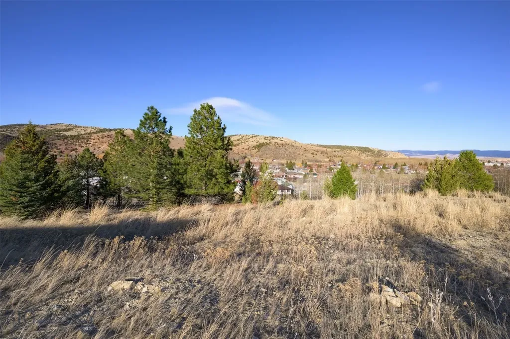 Nhn Washoe Avenue Anaconda MT 59711