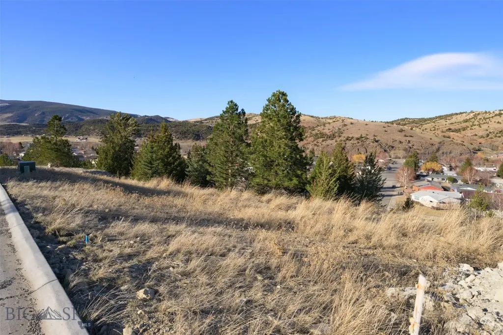 Nhn Washoe Avenue Anaconda MT 59711