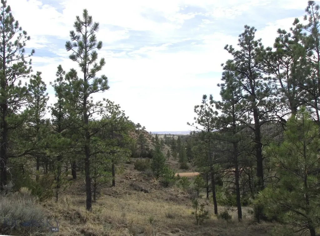 3808 Moon Creek Road Miles City MT 59301